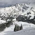 Wildbach *