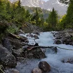 Wildbach * Hinterthal