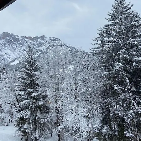 Διαμέρισμα Wildbach