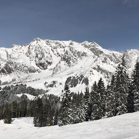 Wildbach * Hinterthal