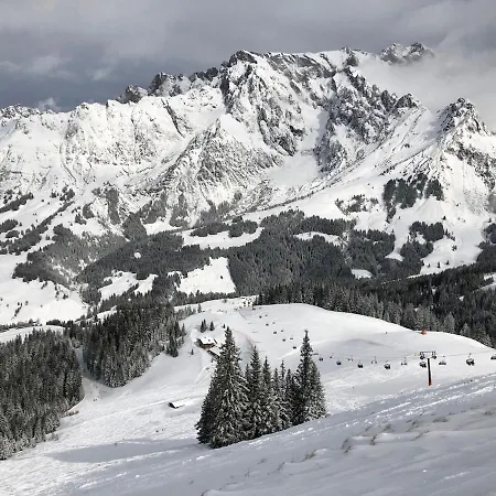 Wildbach *